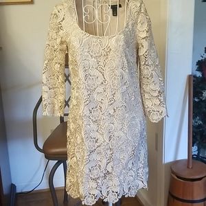 Women's Stunning champagne lace White House Black Market Dress